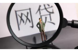 清流清流的要账公司在催收过程中的策略和技巧有哪些？